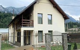 Casa Aly Busteni- Vila La Cheie